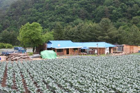 핑경이울때