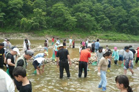 대하리 곤드레축제