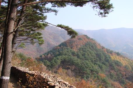 대화산성과 매봉산 등산로