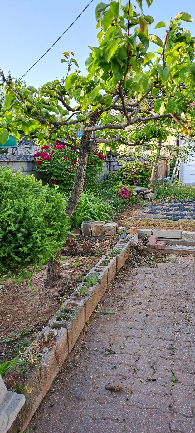 KakaoTalk_20250508_093040200.jpg