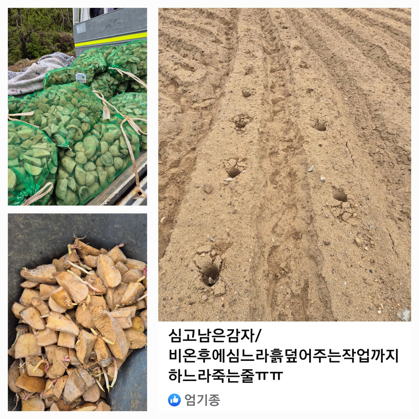 페북.jpg
