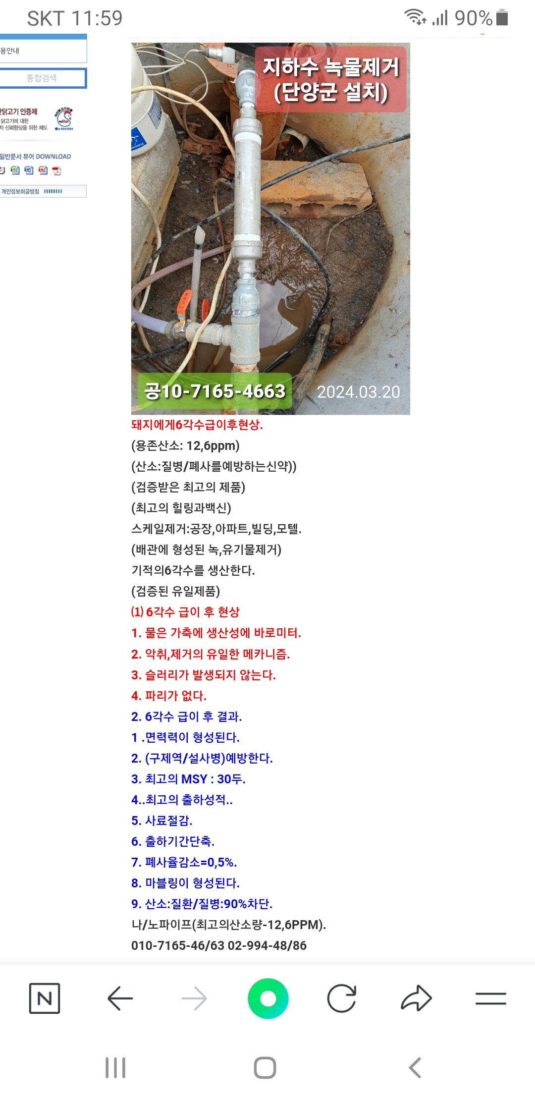 우리돼지.jpg