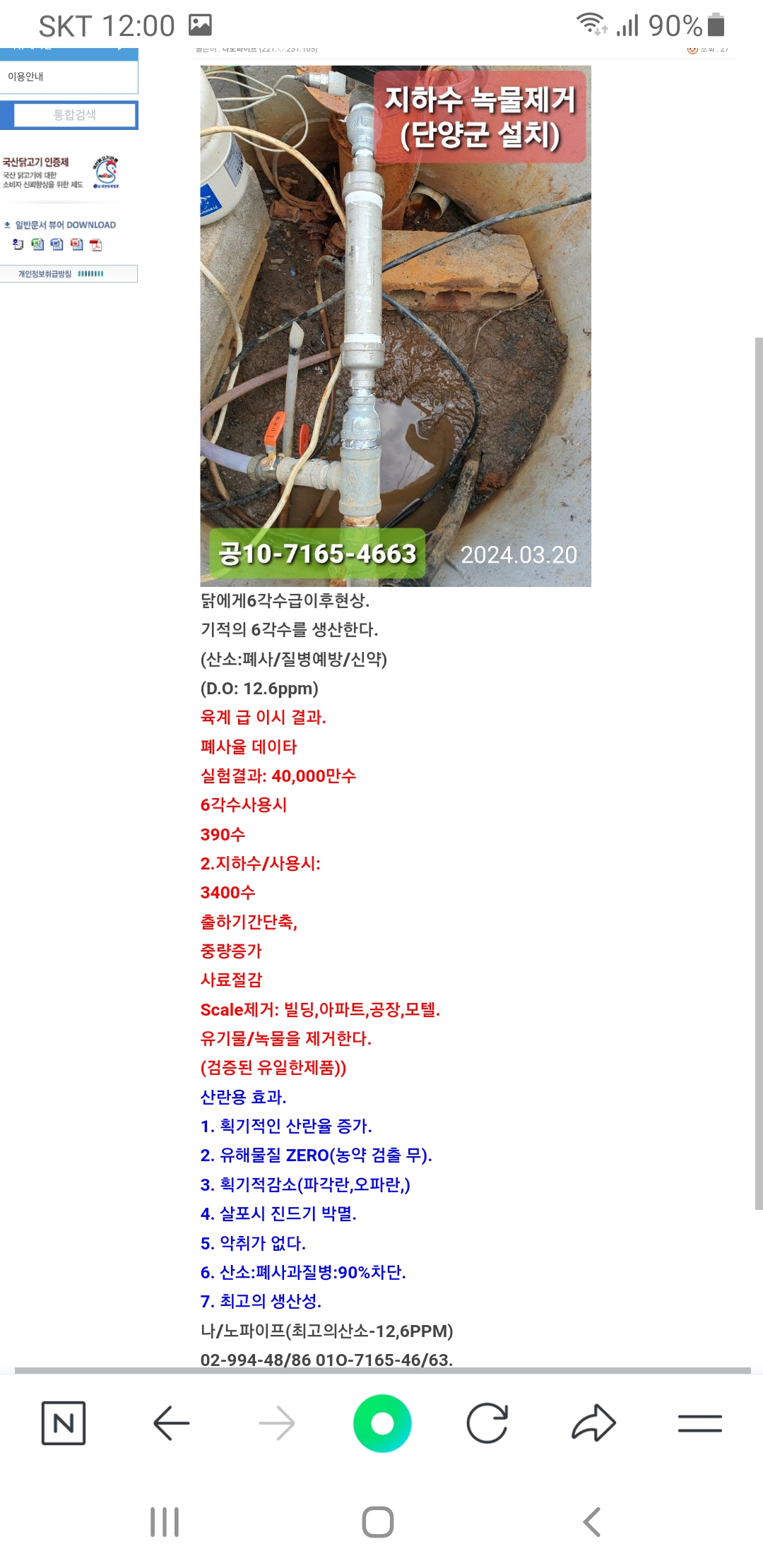 우리닭.jpg