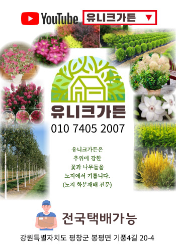 평창군 펜션연합 배너.jpg