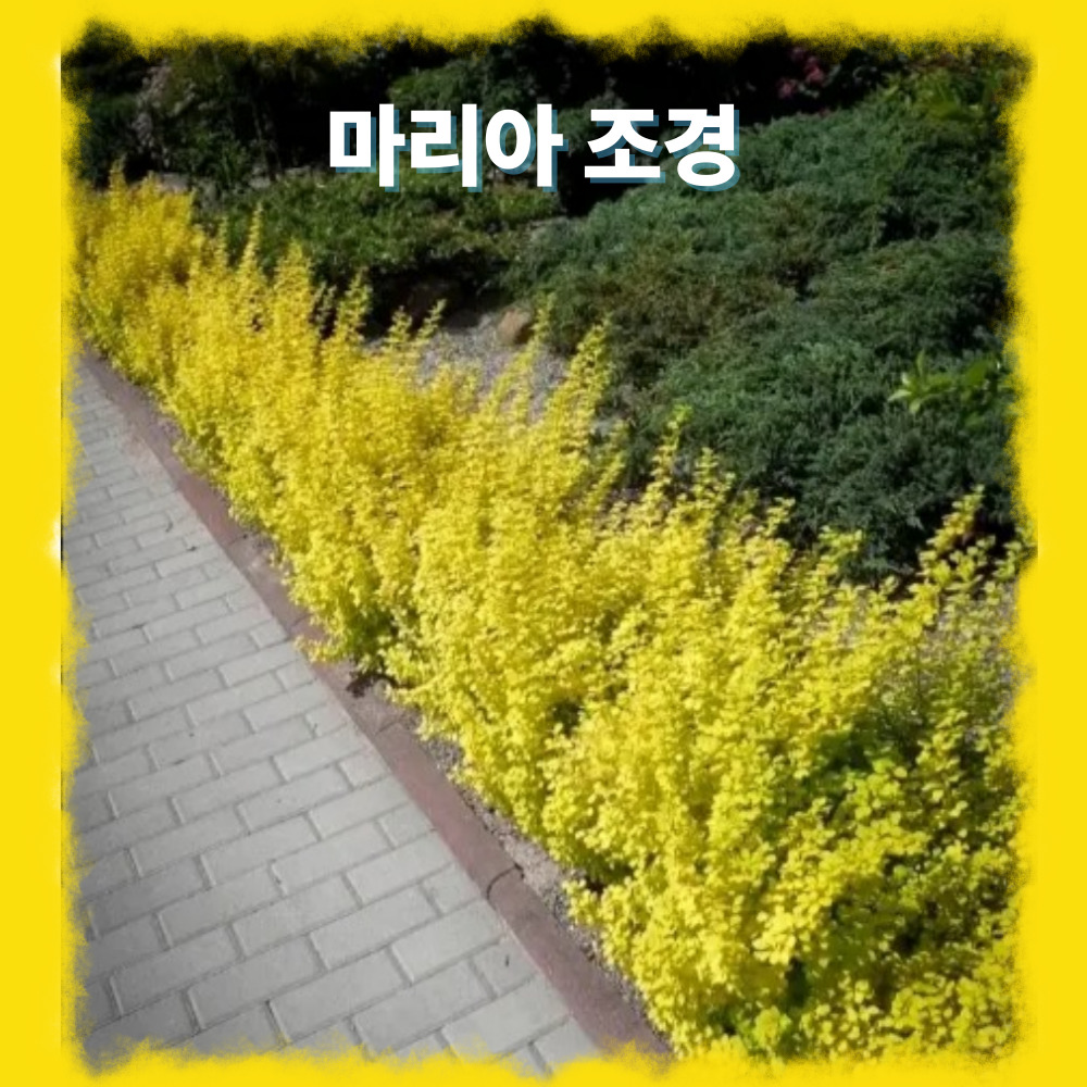 004.jpg
