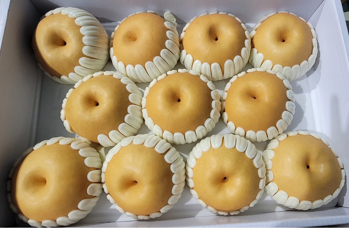 한국청과 춘천중앙청과 과일선물셋트2.jpg