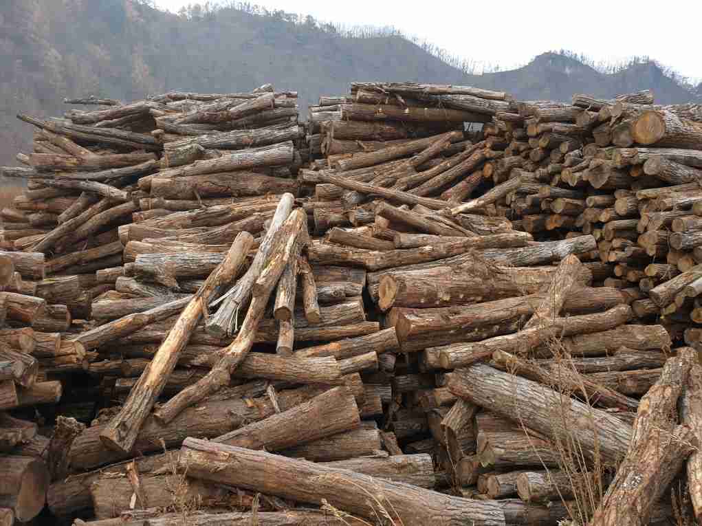 참나무 화목14(참나무 원목).jpg