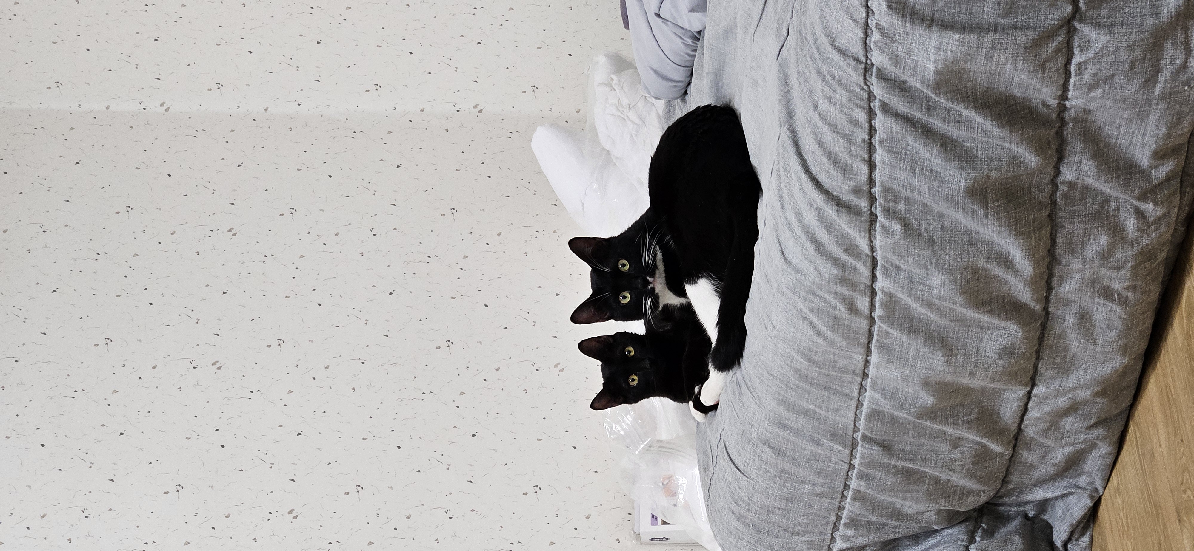 20250311_211550.jpg
