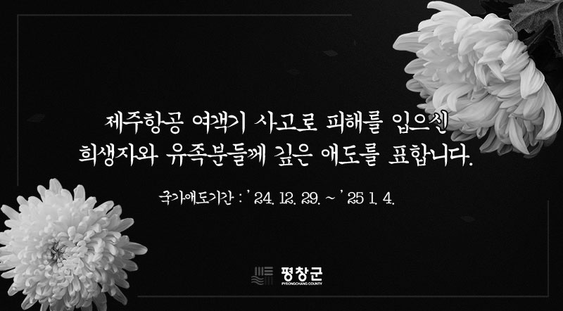 제주항공 여객기 사고로 피해를 입으신 희생자와 유족분들께 깊은 애도를 표합니다.