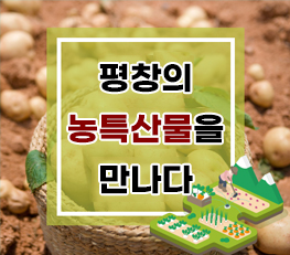 평창 농특산물 안내 알림창